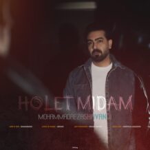 آهنگ جدید محمدرضا شوندی به نام هولت میدم